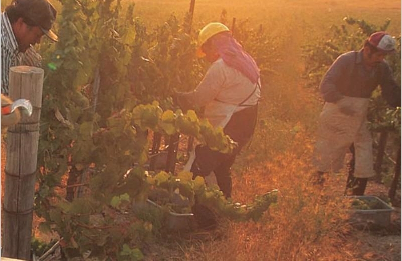 pcking
