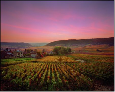 2_my_house_burgundy_france 2_my_house_burgundy_france