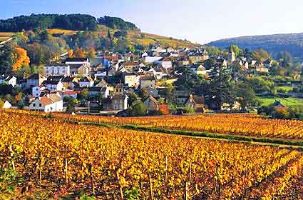 burgundy_france