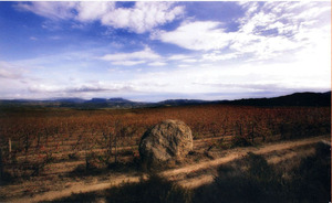 Bila Haut Vineyards